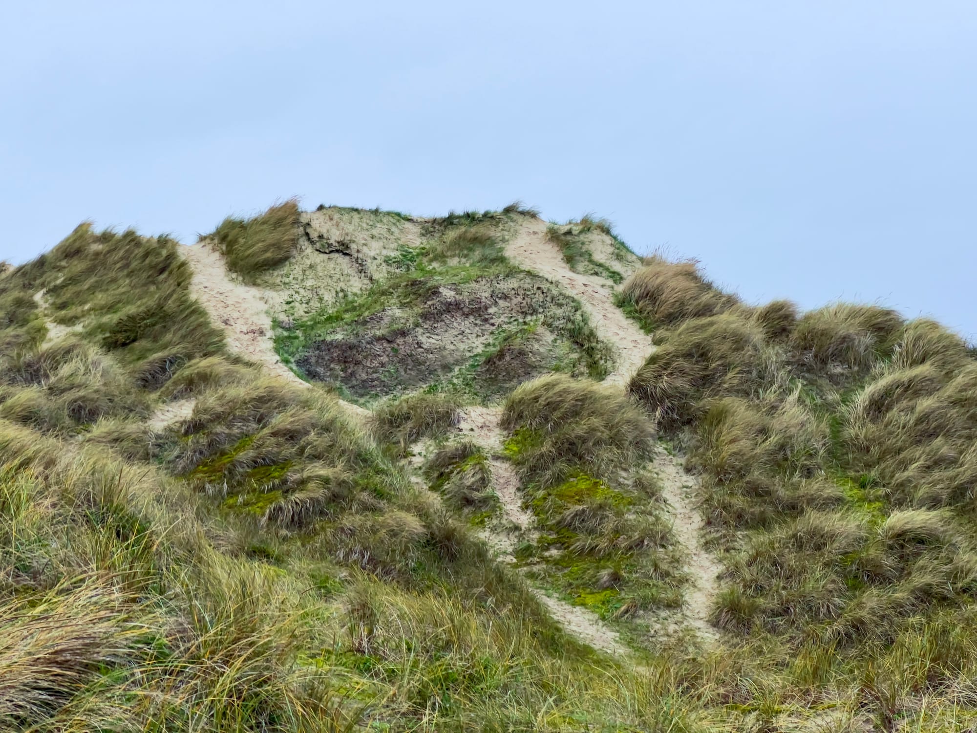 Steep sand dune covered in tufts of wind-blown grass, with several narrow footpaths worn into the slope, exposed sand patches, and a pale grey, overcast sky above.