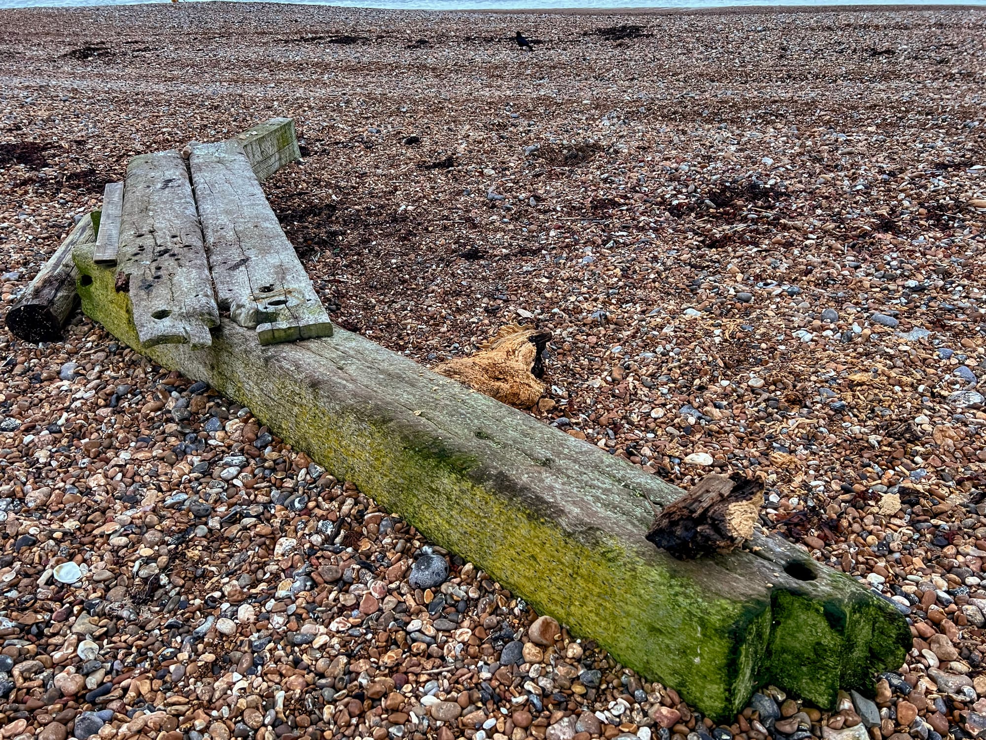 A driftwood bench on Shoreham Beach.