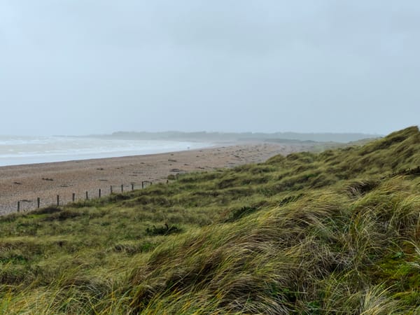 Wind-swept coastal dunes with long grass in the foreground, a wide shingle beach stretching into mist, pale grey sea on the left, and a hazy headland under an overcast sky.